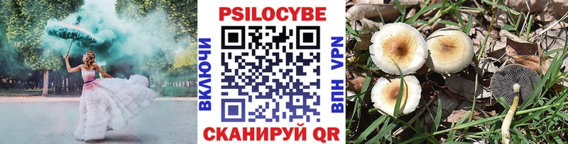 Псилоцибиновые грибы прущие грибы  Ростов 